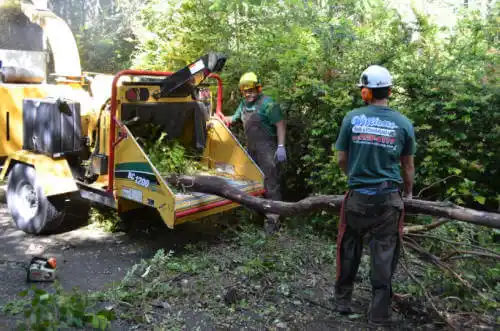 tree services Polo